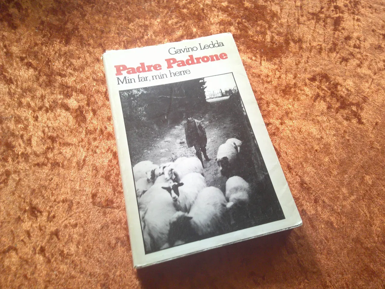 Billede 1 - Padre padrone : min far, min herre, Gavino Ledda