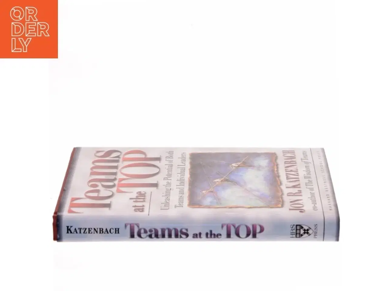 Billede 2 - Teams at the top : unleashing the potential of both teams and individual leaders af Jon R. Katzenbach (Bog)