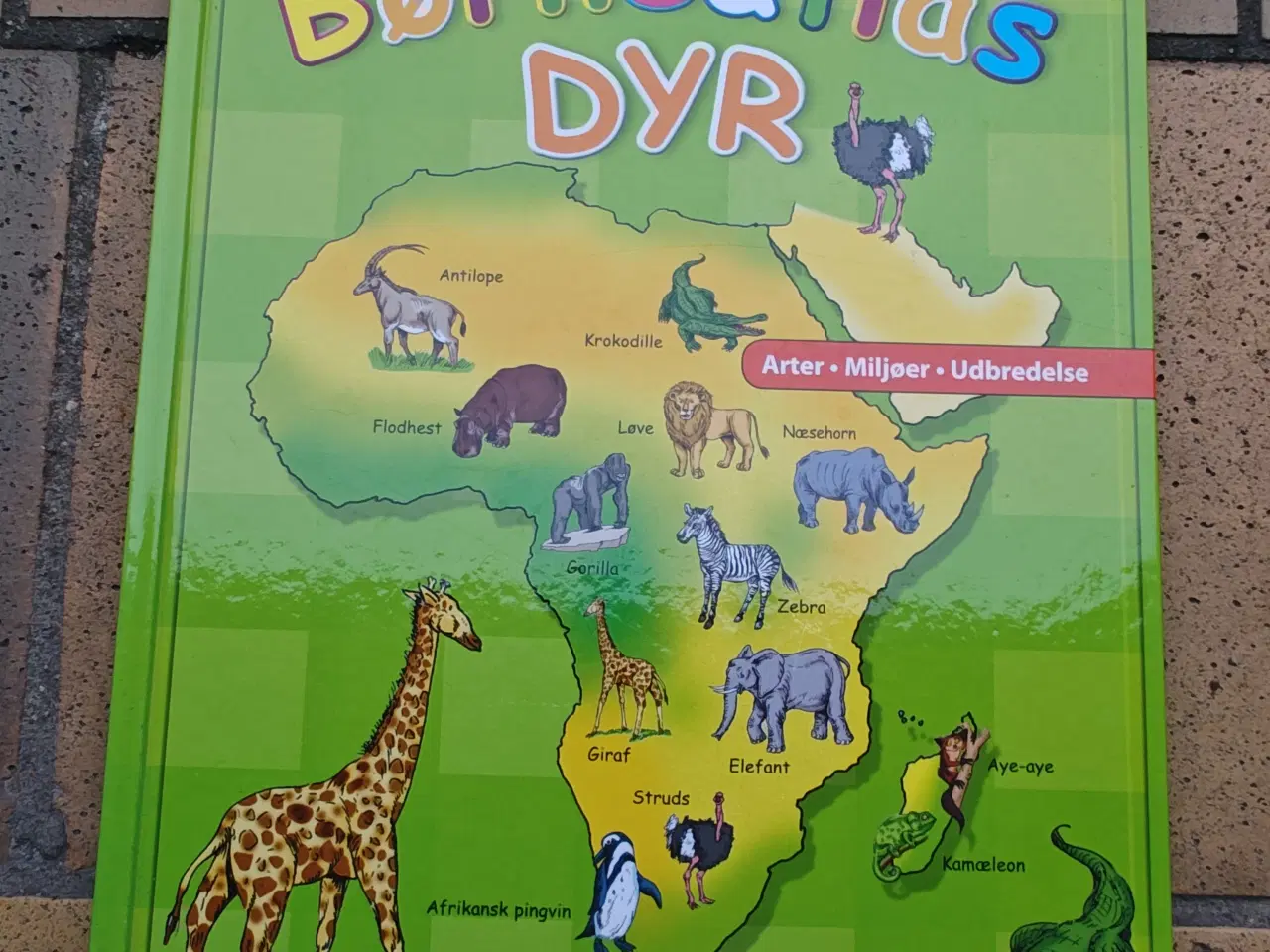 Billede 1 - Børneatlas Dyr BOG