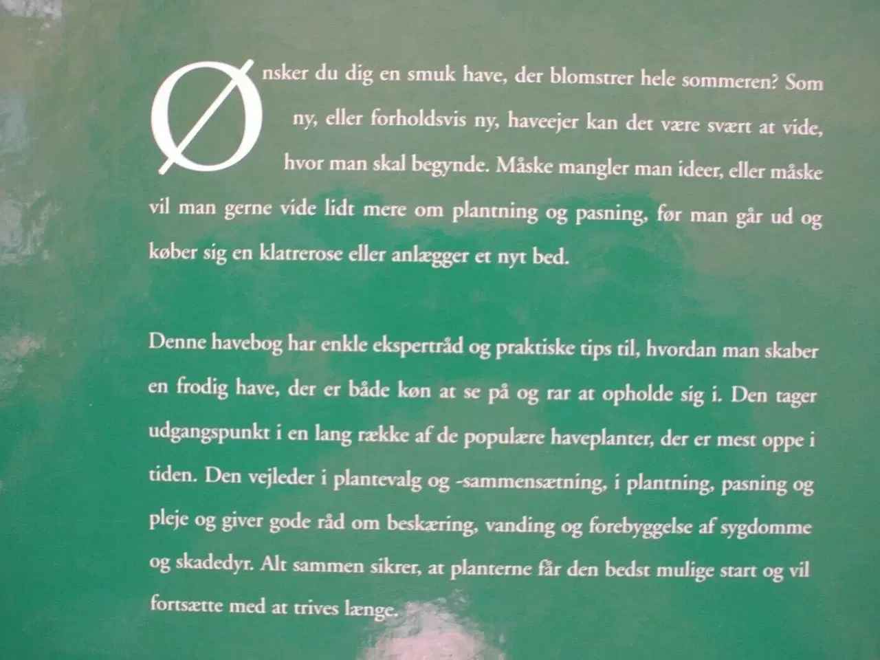 Billede 3 - populære haveplanter - begynderens guide til en , 