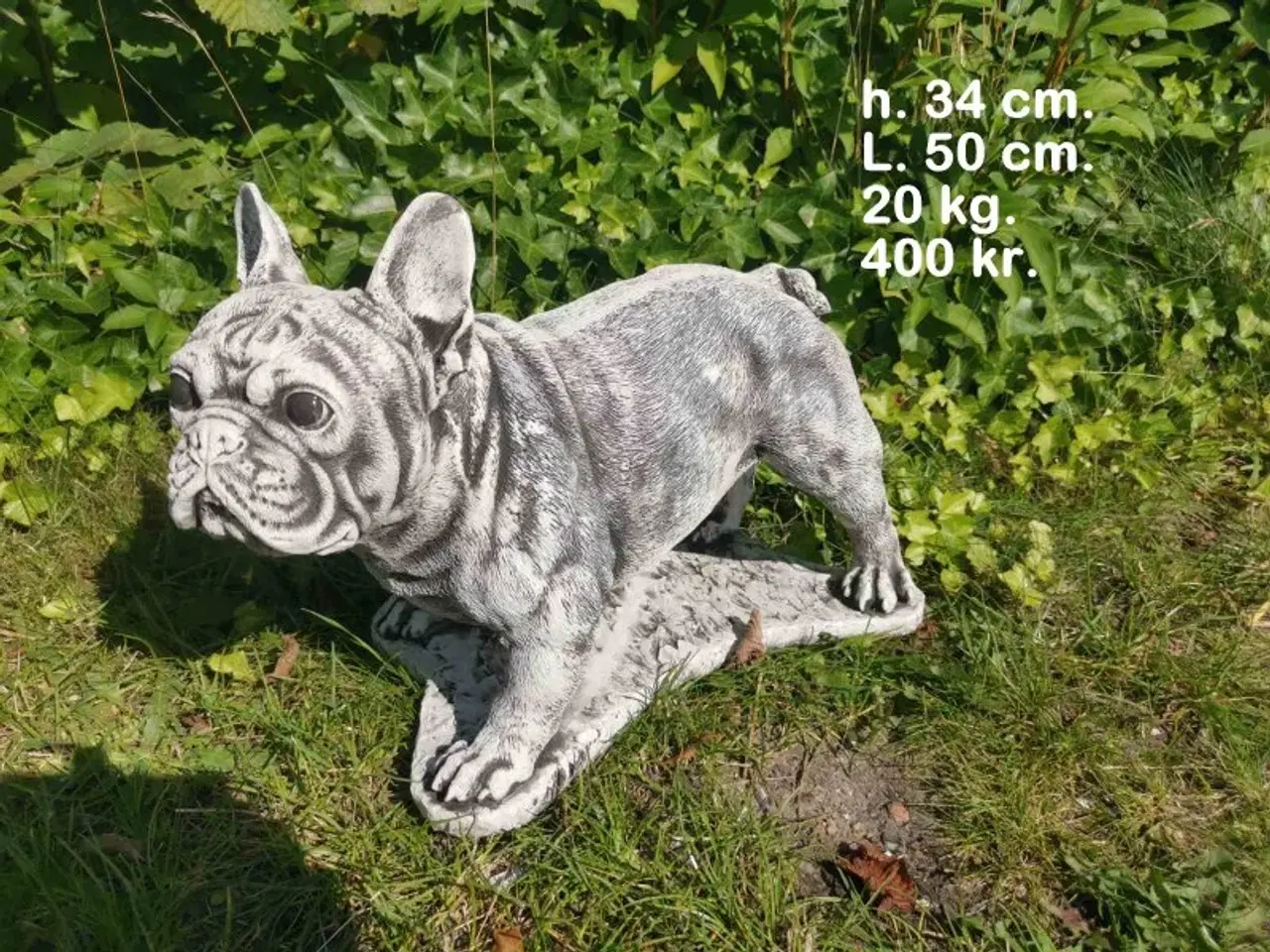 Billede 18 - HAVEFIGUR Smukke betonhunde – forskellige racer 🐾