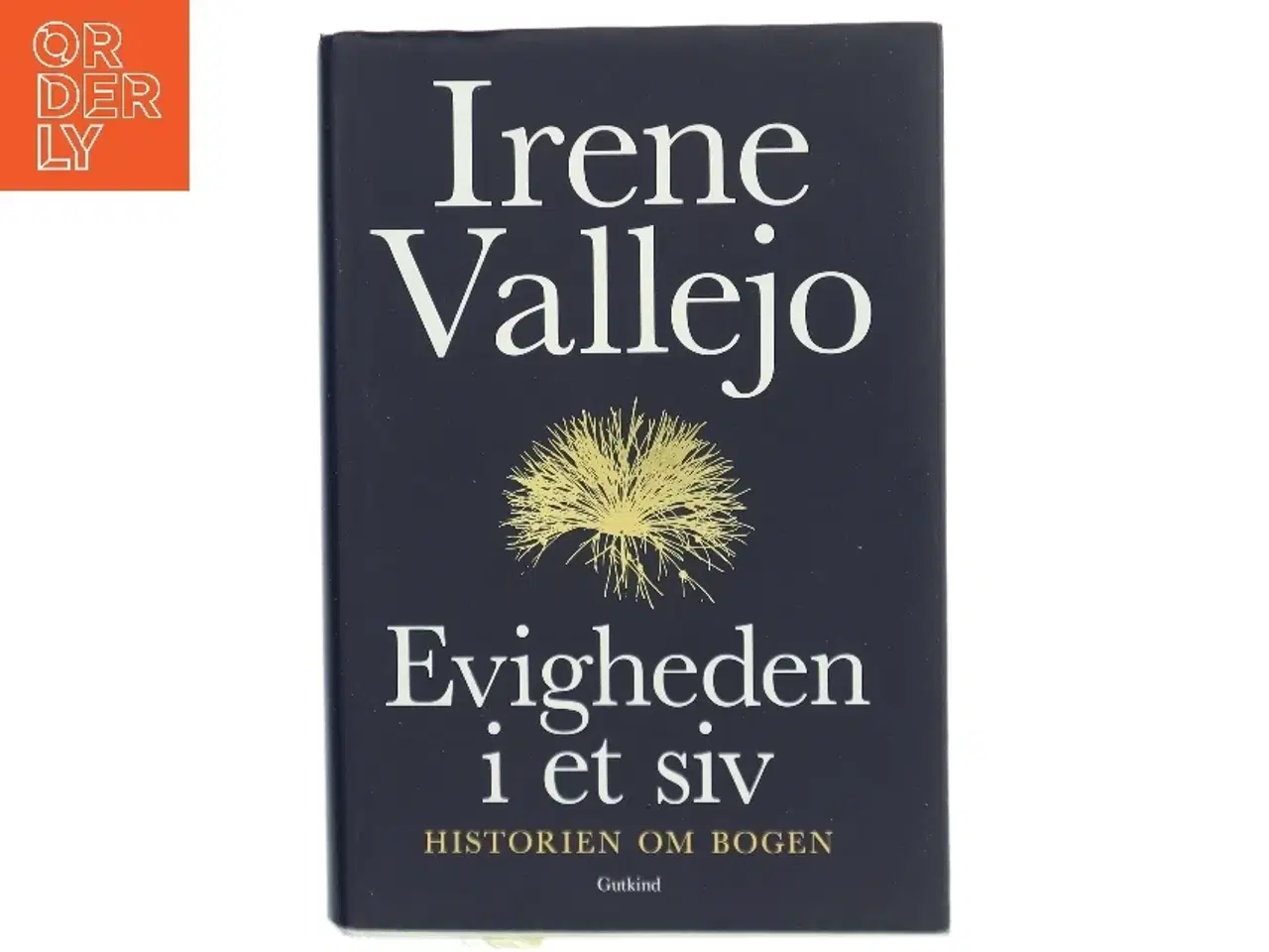 Billede 1 - Evigheden i et siv : historien om bogen af Irene Vallejo (f. 1979) (Bog)