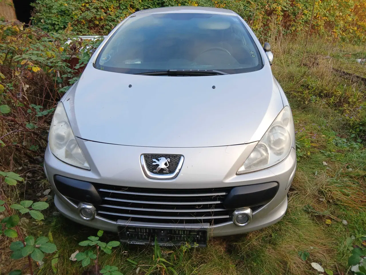 Billede 1 - Indregistreret som skolevogn. 