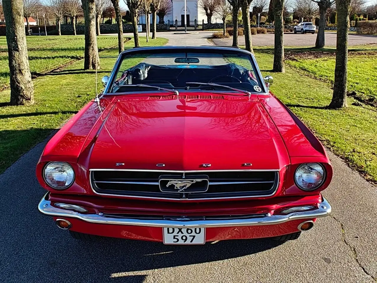 Billede 6 - FORD MUSTANG V8 4,7 CONVERTIBLE