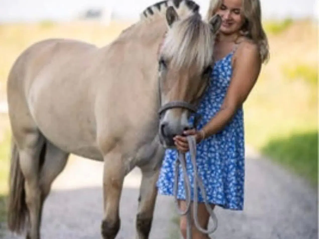 Billede 5 - Leder efter en part til min skønne pony!! 