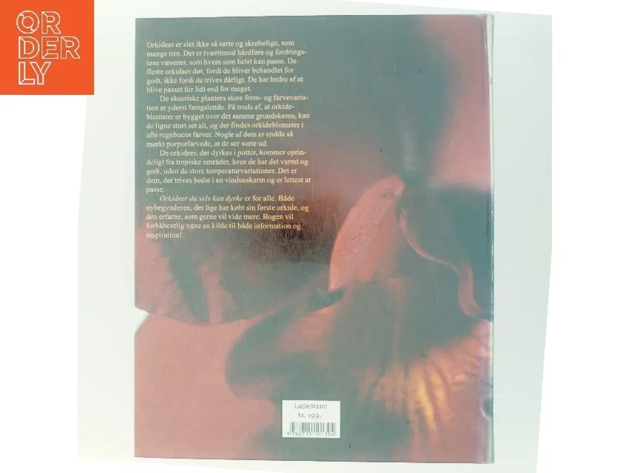 Billede 3 - Orkideer du selv kan dyrke (Bog)