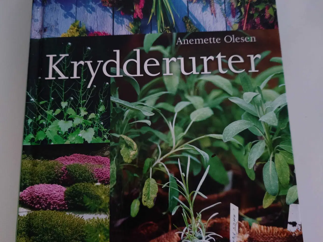Billede 1 - Krydderurter af Anemette Olesen 