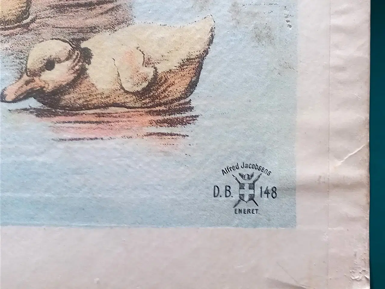 Billede 3 - Antik skoleplakat gråænder D.B.148