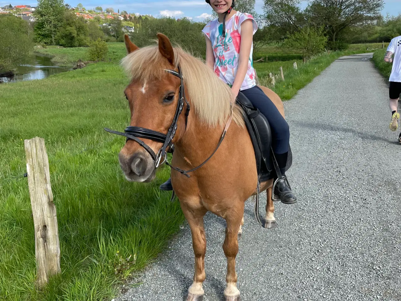 Billede 6 - Skøn og køn 3. Pony
