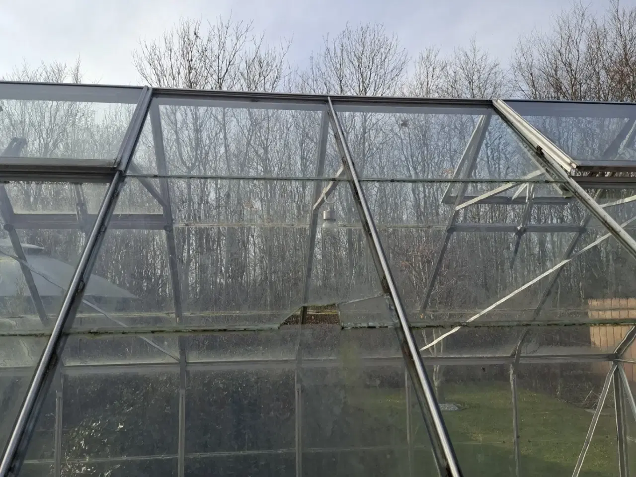 Billede 4 - Drivhus med 2 døre og 4 vinduer sælges
