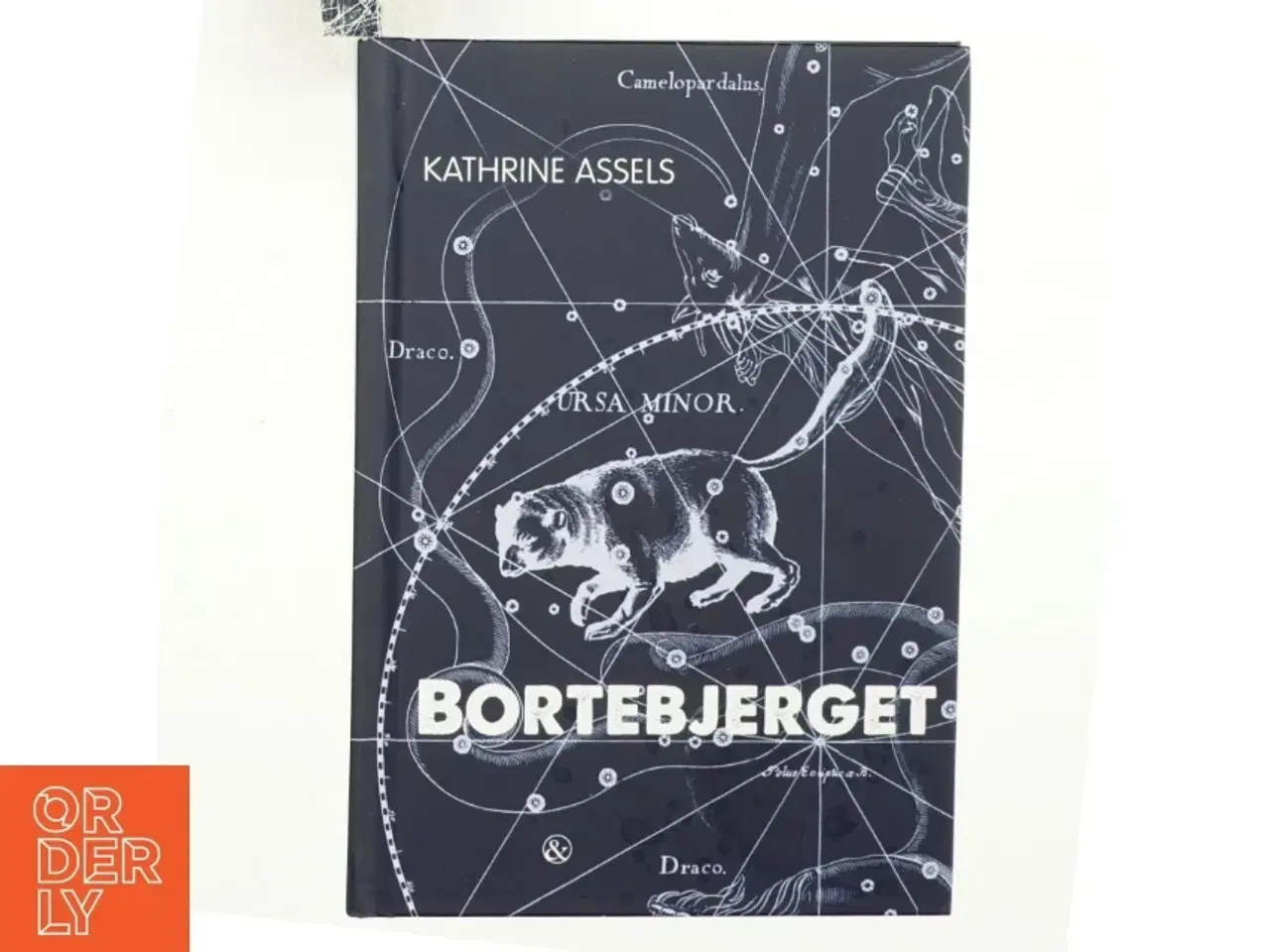 Billede 1 - Bortebjerget af Kathrine Assels (Bog)