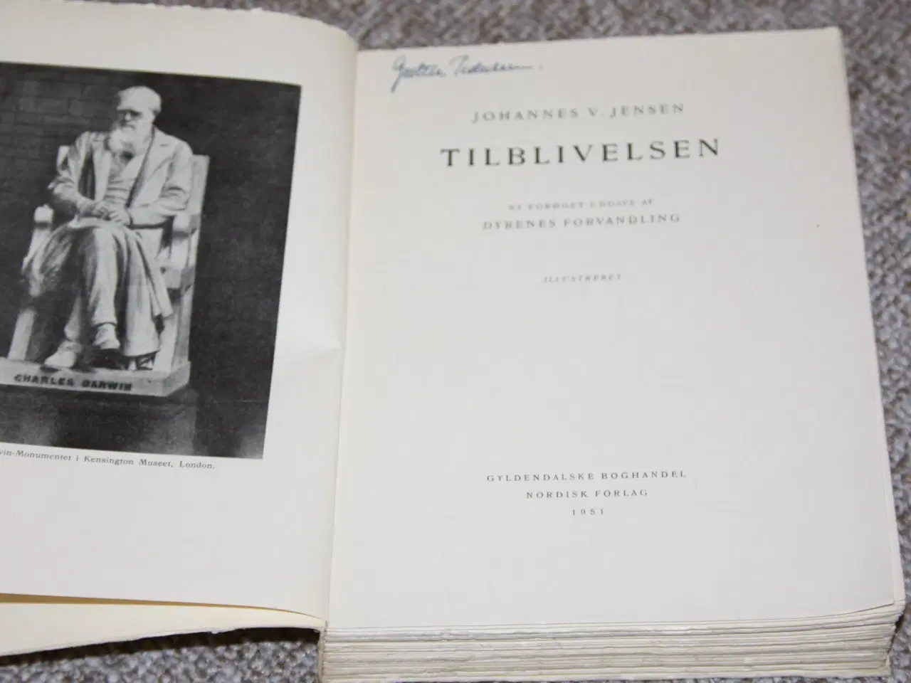 Billede 2 - Tilblivelsen af Johannes V Jensen 