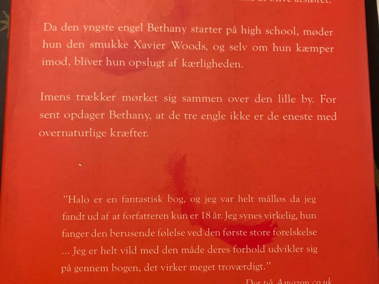 Billede 2 - Romanerne Halo og Heaven