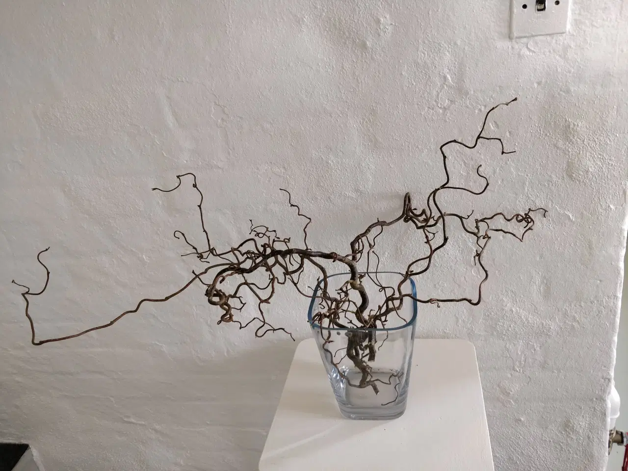 Billede 5 - Troldegrene