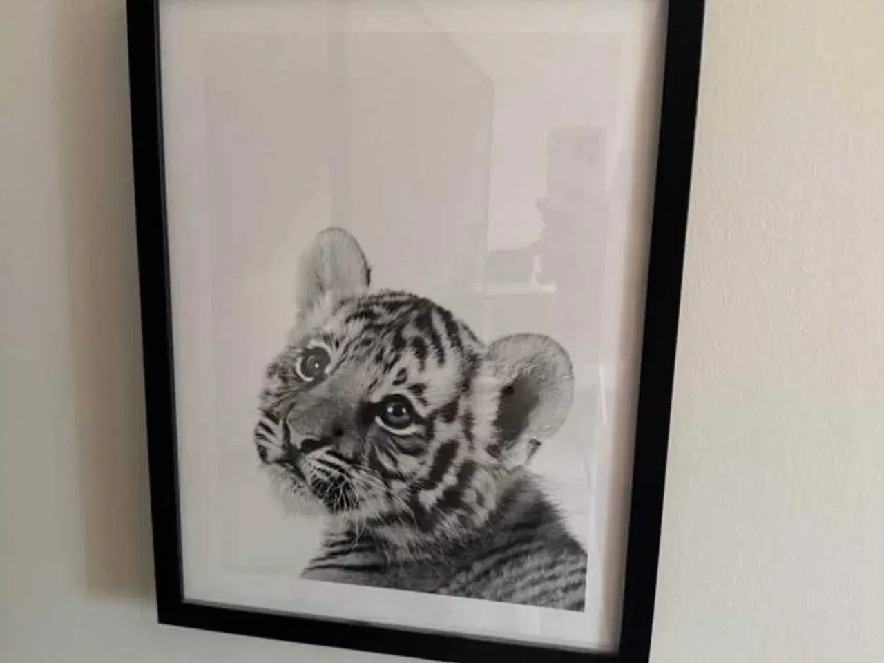 Billede 5 - Billeder