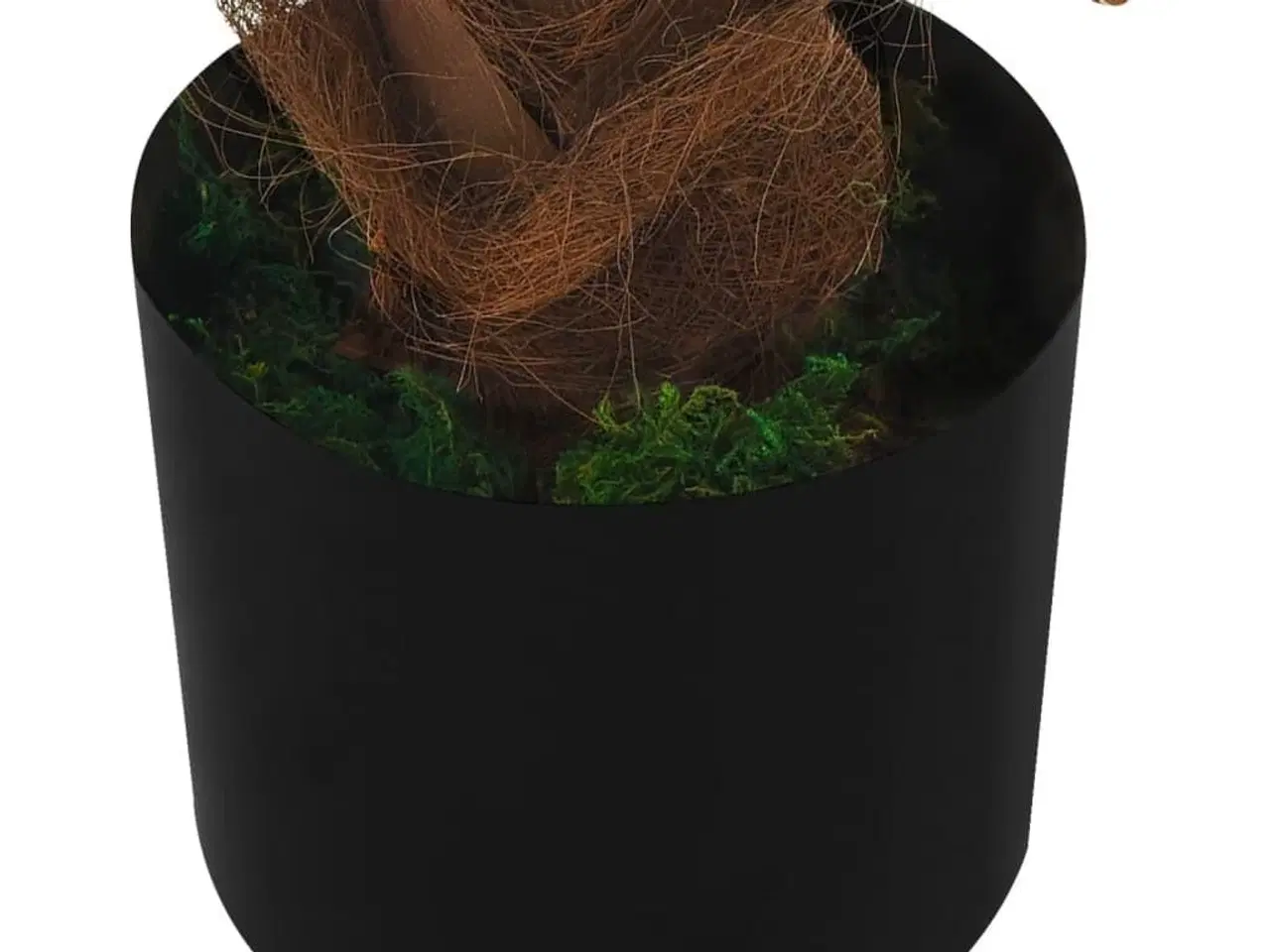 Billede 5 - Kunstig cycaspalme med potte 140 cm grøn