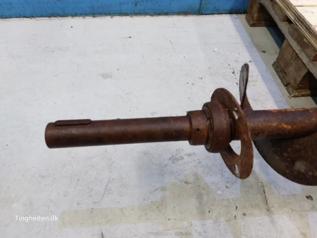 Billede 11 - Massey Ferguson 31 Fyldesnegl 28550083