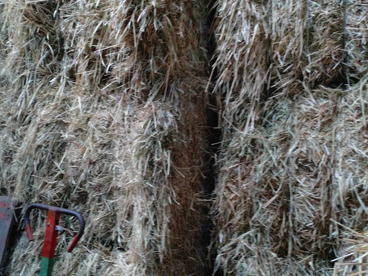 Billede 3 - hø i minibig