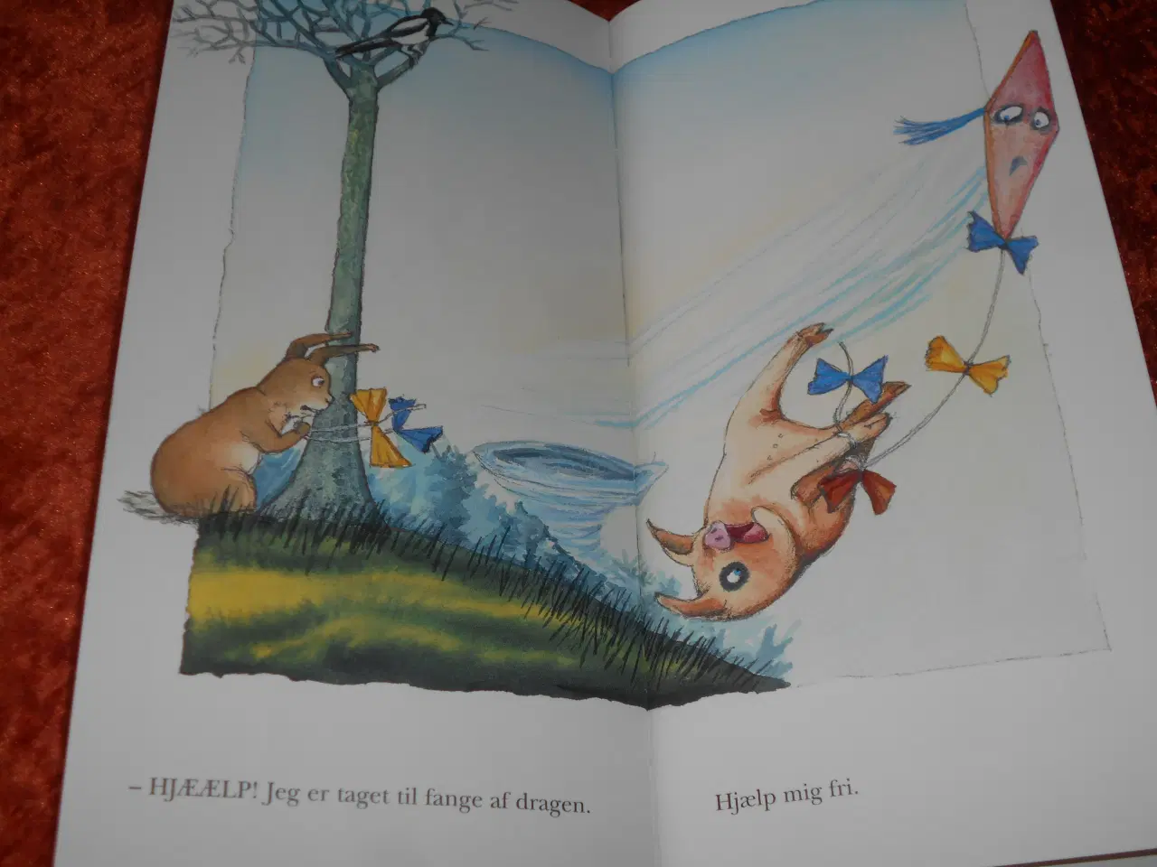 Billede 4 - Hvirvelvinden,  Birde Poulsen