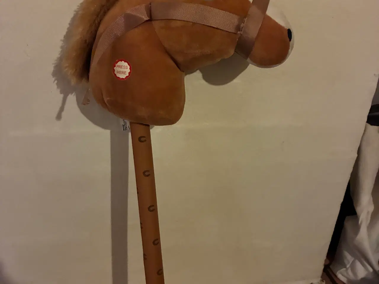 Billede 6 - Kæpheste