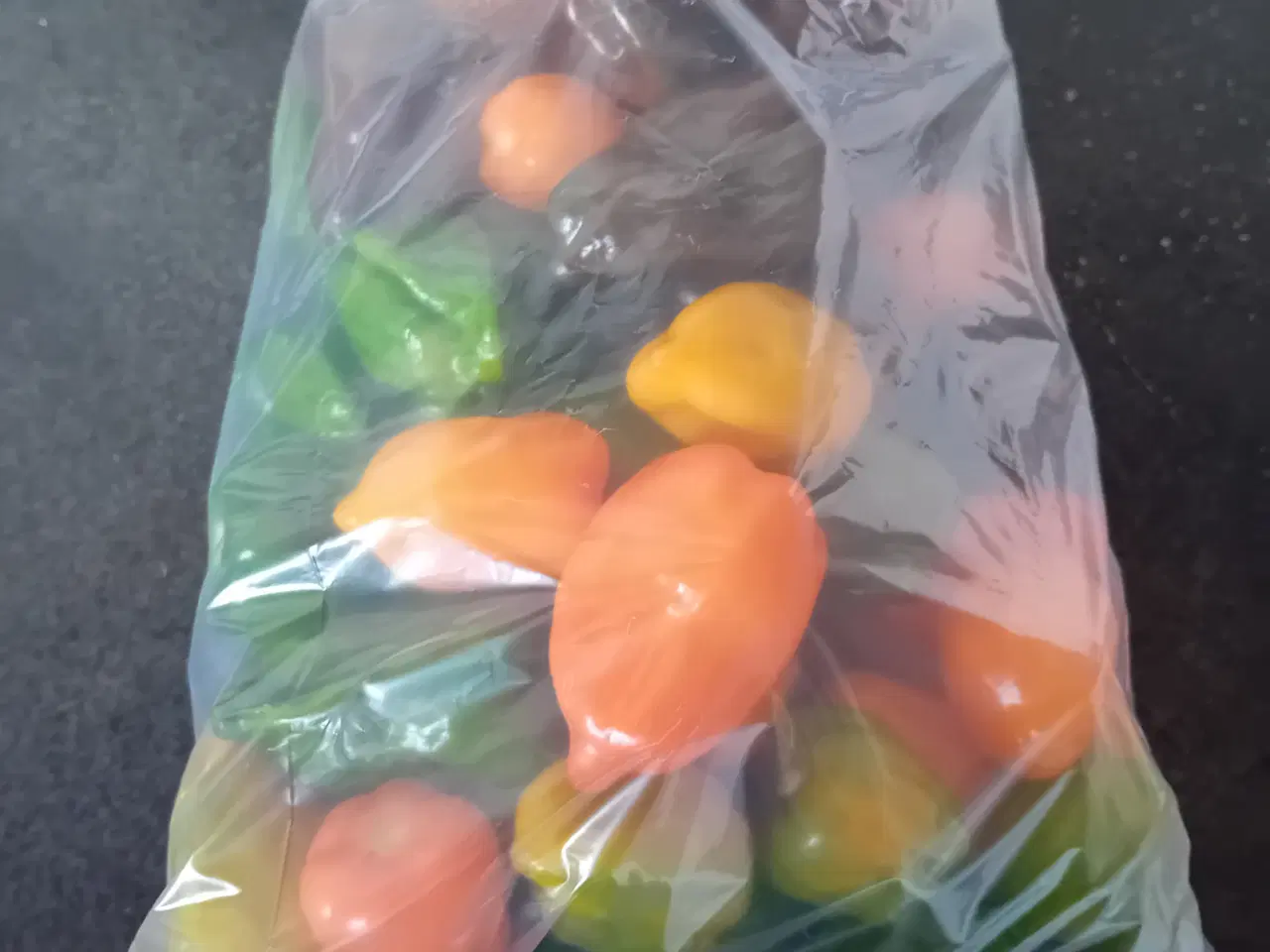 Billede 3 - Habanero chilier 