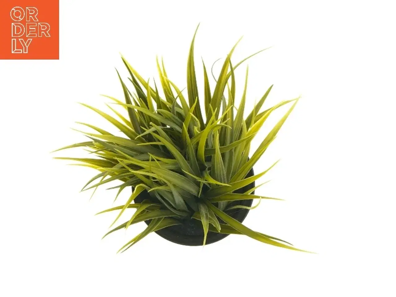 Billede 9 - Dekorative kunstige planter fra IKEA (str. 19 cm og 24 cm)