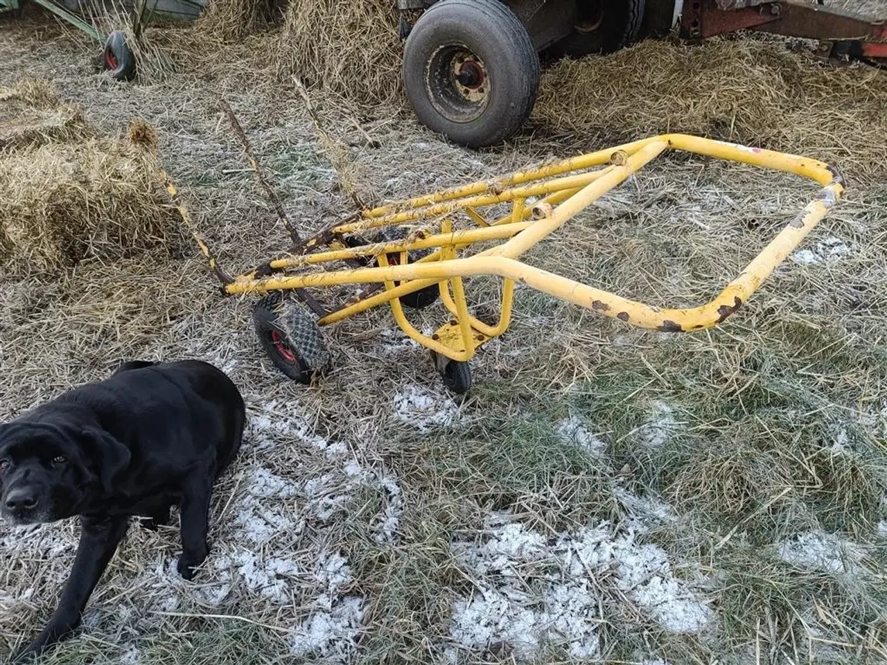 Billede 4 - - - - Ballevogn med spyd	SÆLGES MOMSFRI