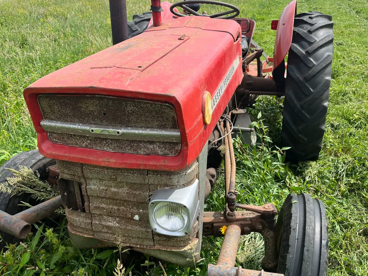 Billede 2 - Massey Ferguson 135 benzin 