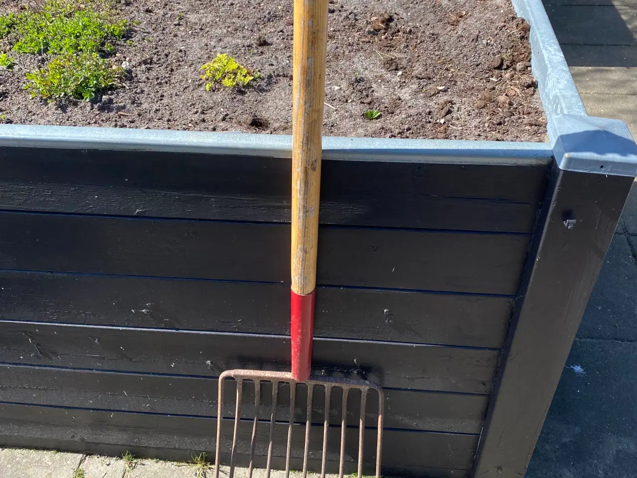 Billede 1 - God kartoffel greb