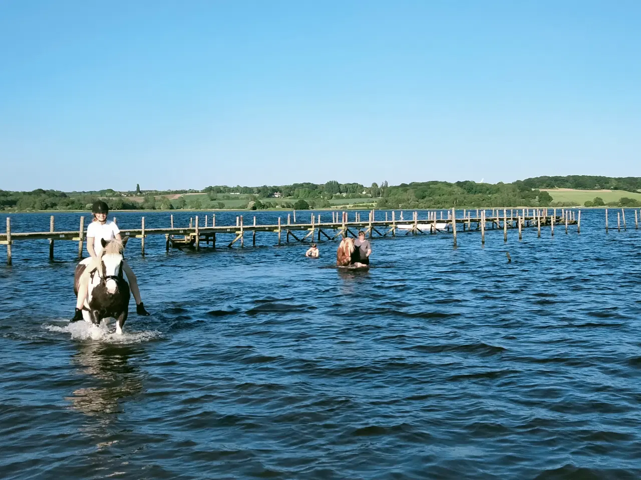 Billede 4 - Smuk tinker hoppe 