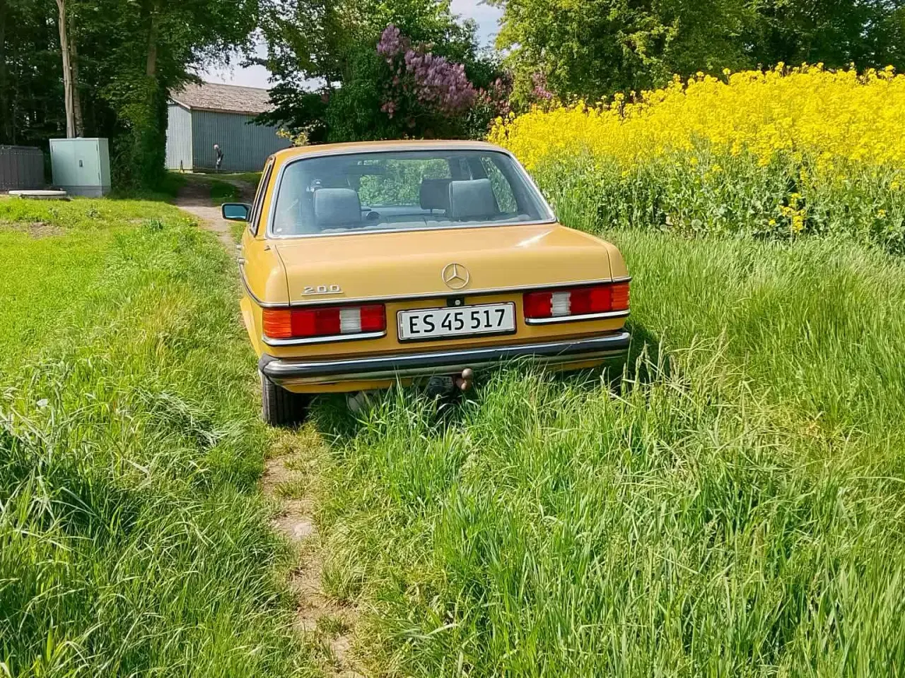 Billede 3 - Mercedes benz 123 2,0 benzin