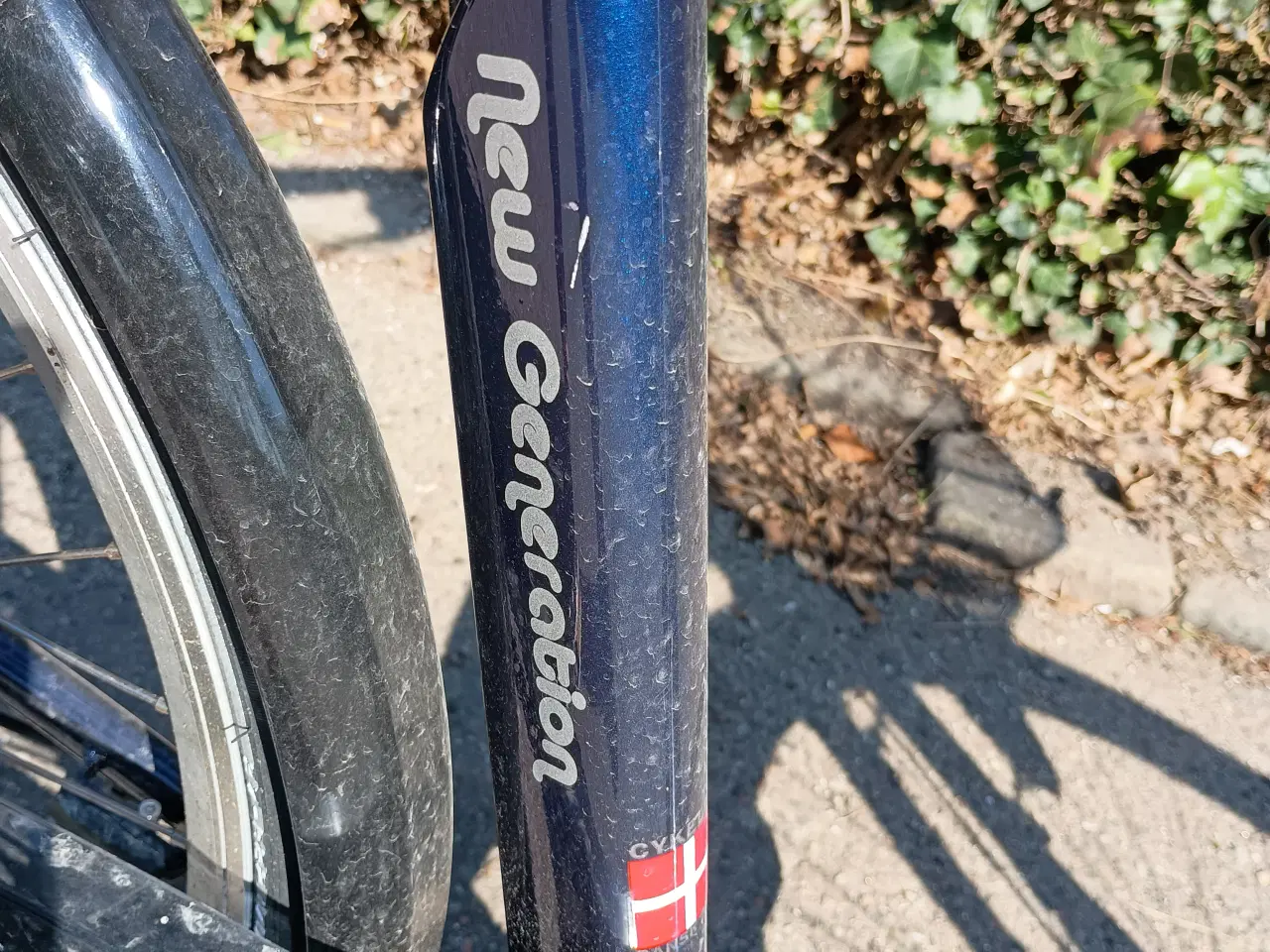 Billede 4 - Elvira Madigan New Generation.