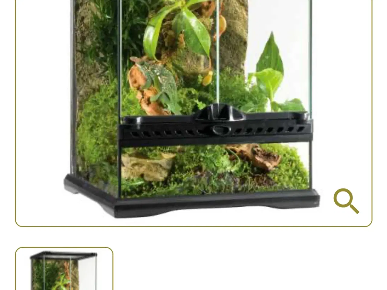 Billede 6 - Exo Terra Natural Terrarium Tall/Mini