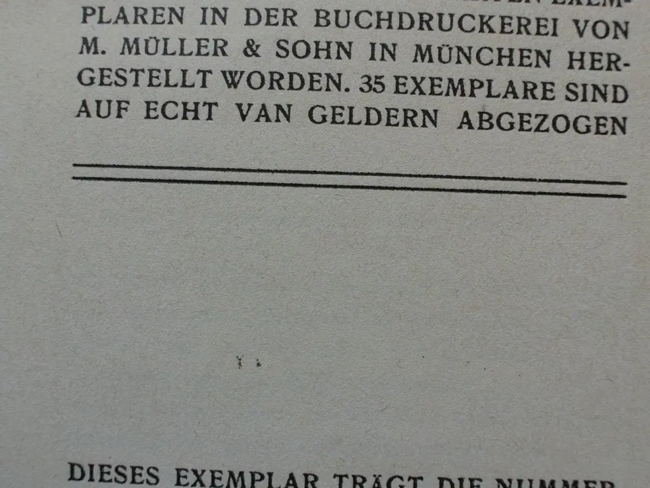 Billede 4 - der rasende roland 1-2 + kleinere werke, af ludovi