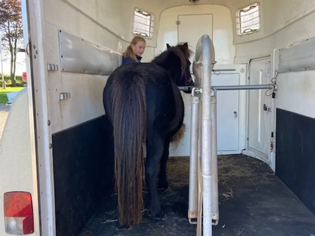 Billede 7 - Skøn turpony søger nyt hjem