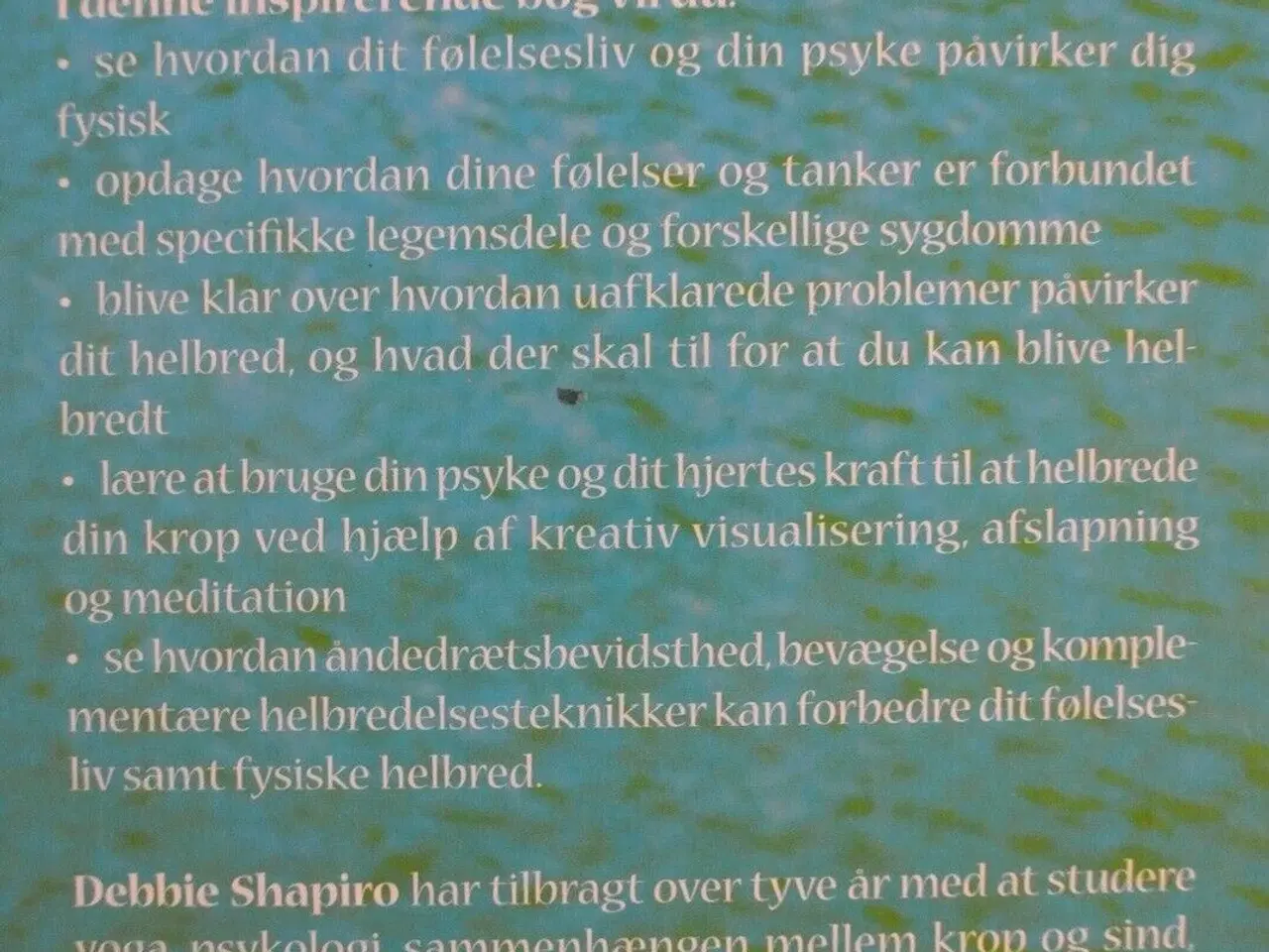 Billede 3 - din krop spejler dit sind, af debbie shapiro, emne