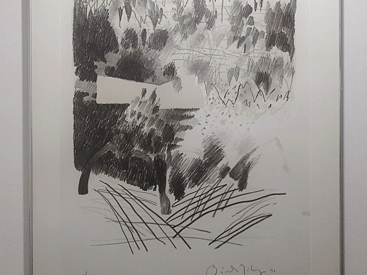 Billede 1 - Bardur Jakupsson