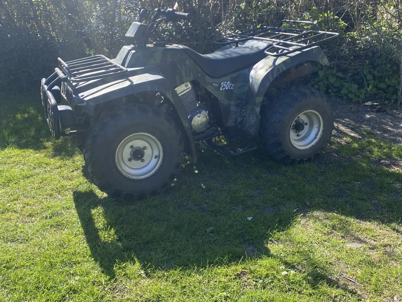 Billede 1 - Kaduna hunter