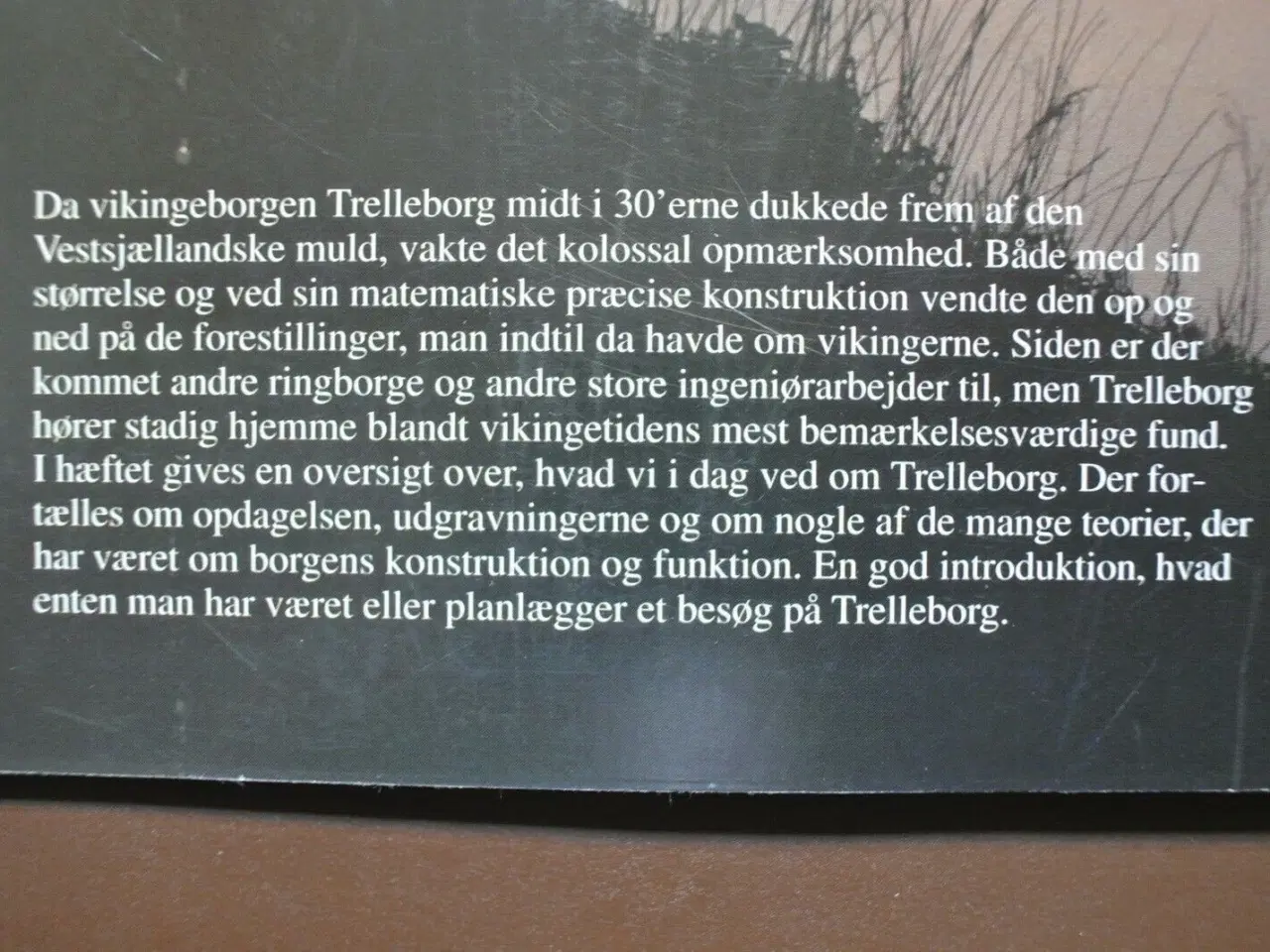 Billede 2 - vikingeborgen trelleborg, af steen wulff andersen,