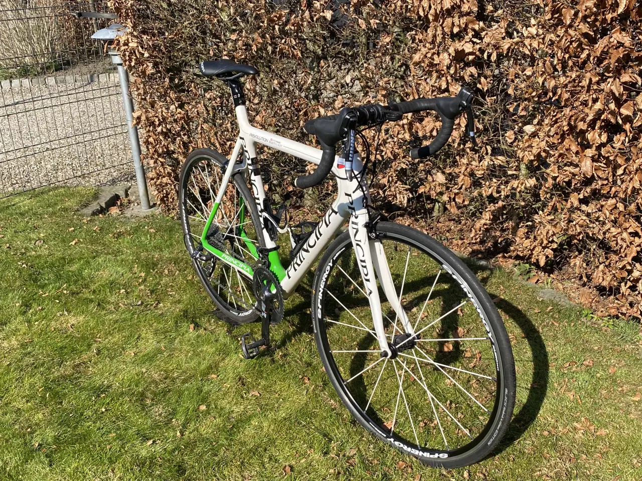 Billede 1 - Principia Revolution Team C40T SRAM RED Carbon