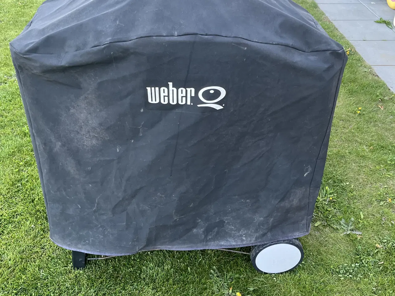 Billede 4 - Weber q300
