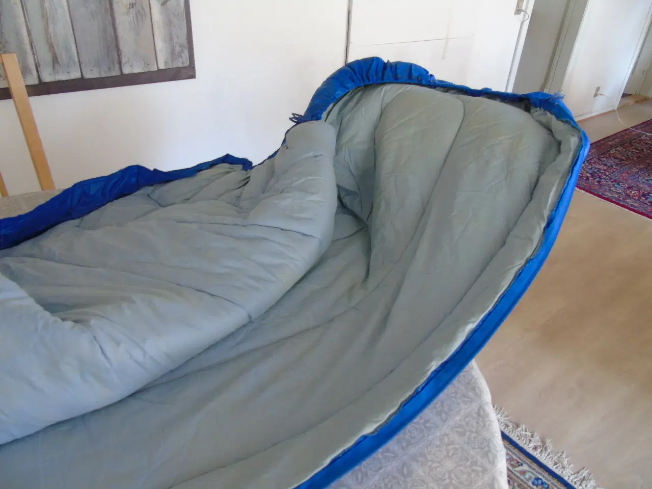 Billede 4 - Vinter sovepose