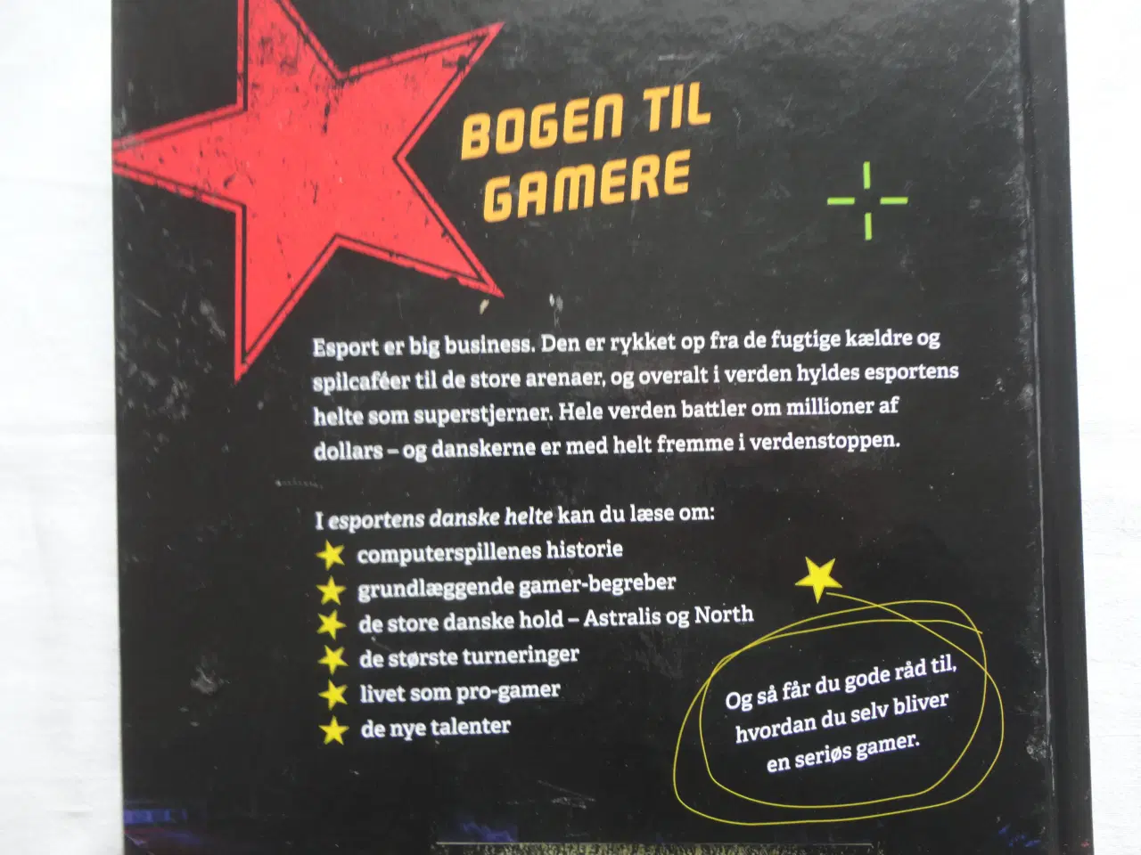 Billede 3 - eSportens danske helte  :