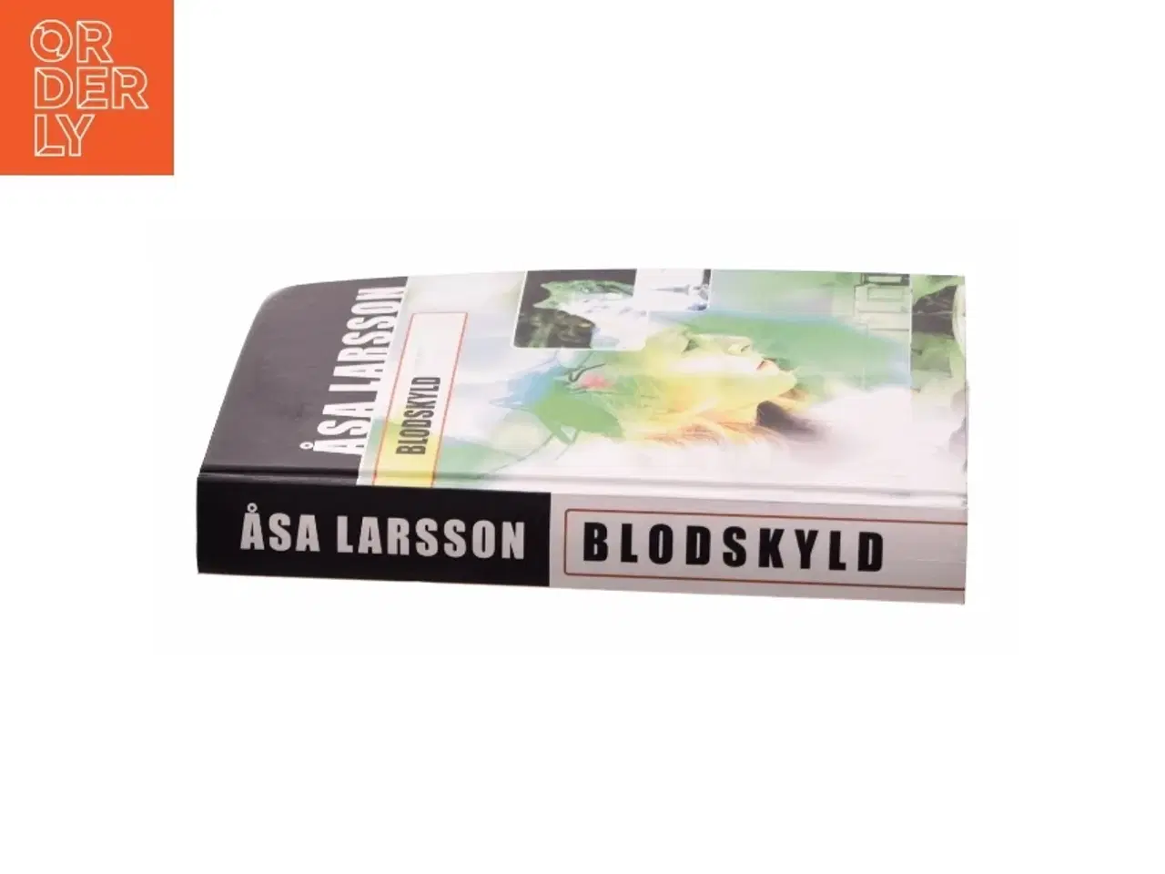 Billede 3 - Blodskyld af Åsa Larsson  fra Bog