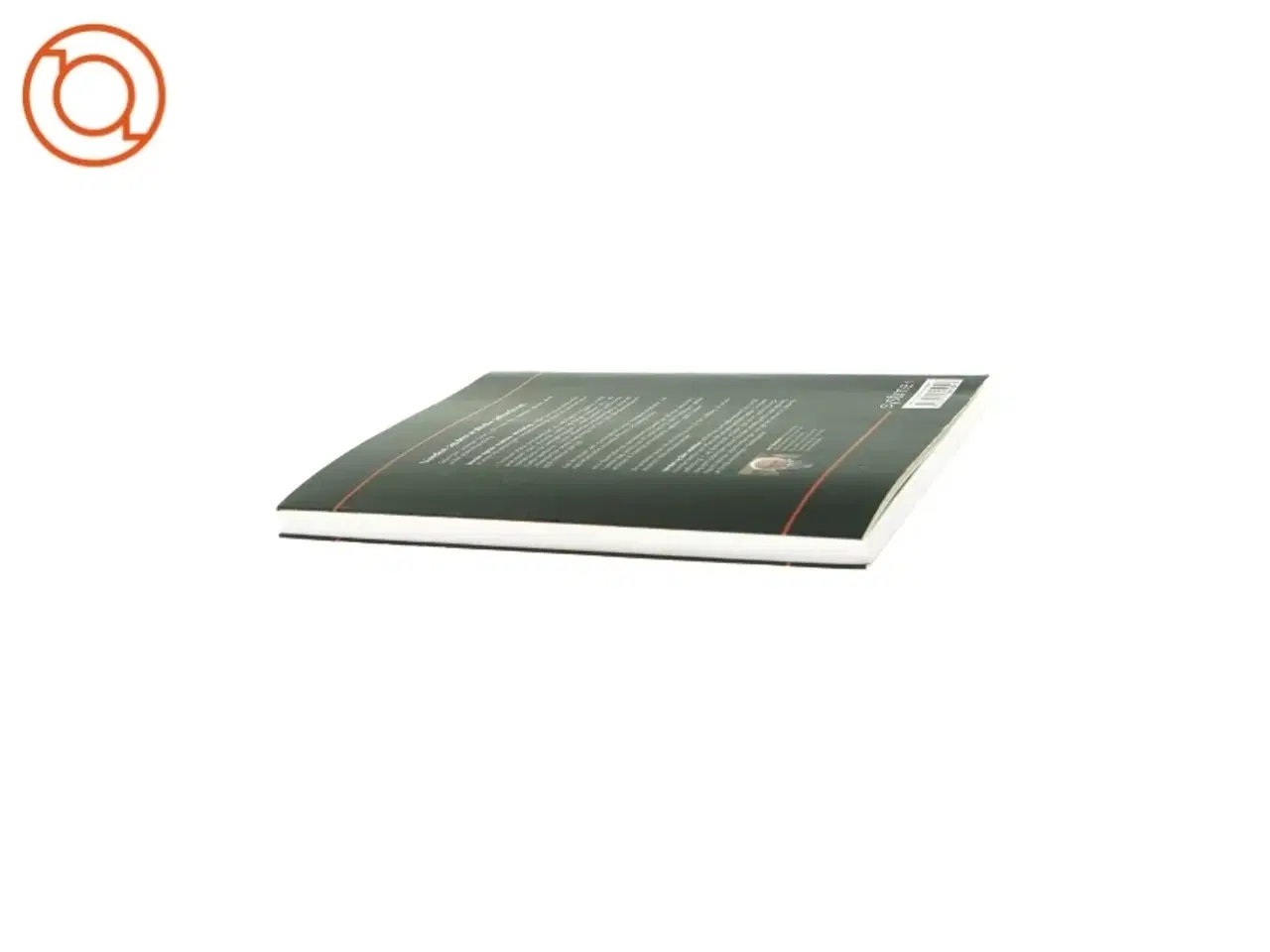 Billede 4 - Verden og den arabiske udfordring, følgerne af det arabiske forår af Jens Nauntofte fra systime