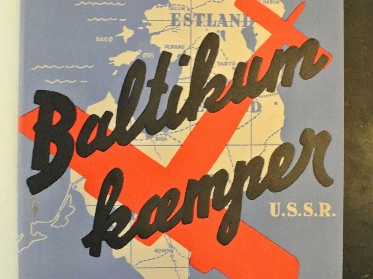 Billede 2 - baltikum kæmper, af r. g. borgelin, emne: historie