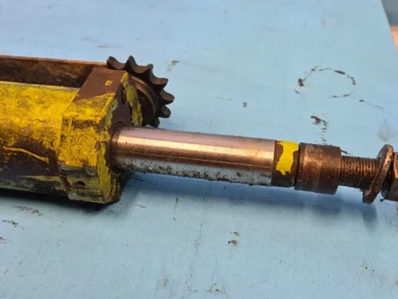 Billede 15 - Claas Jaguar 850 Cylinder 9878592
