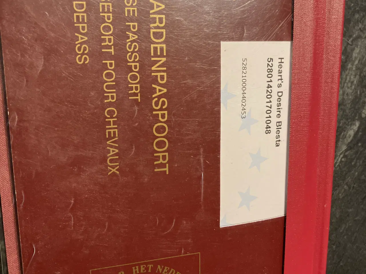 Billede 4 - Fellpony hoppe 8 år