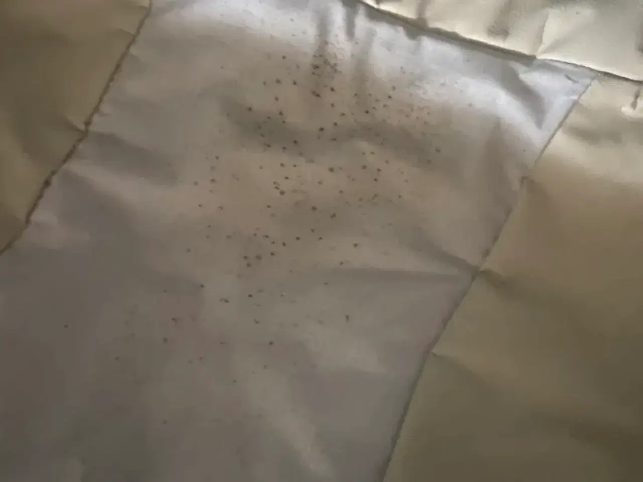 Billede 9 - Emmaljunga barnevogn trænger til en kærlig hånd 