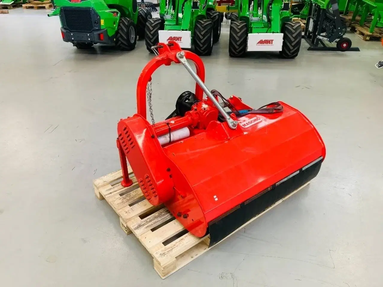 Billede 1 - Maschio Barbi 120 cm